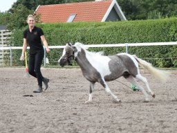 IMG_1151_web